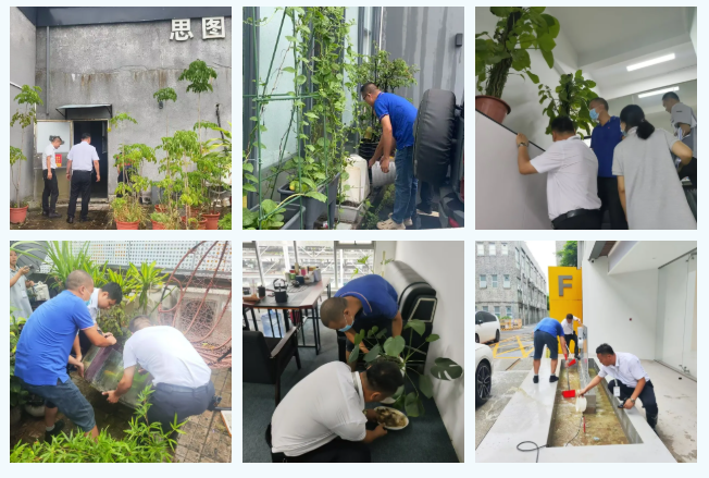 设计城“防蚊守护者”已就位，筑牢蚊媒传染病防治防线